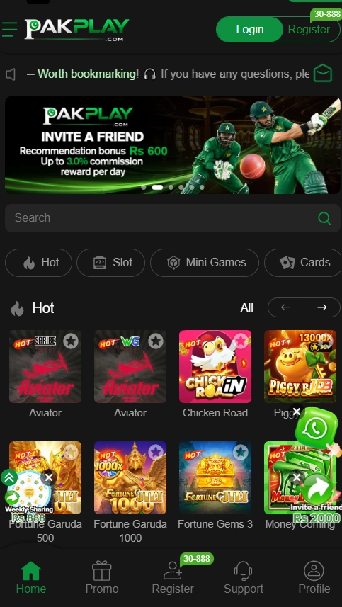 PakPlay Game